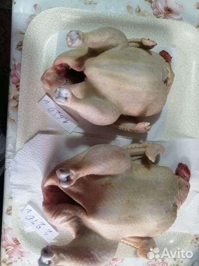 Мясо домашней птицы, яйца