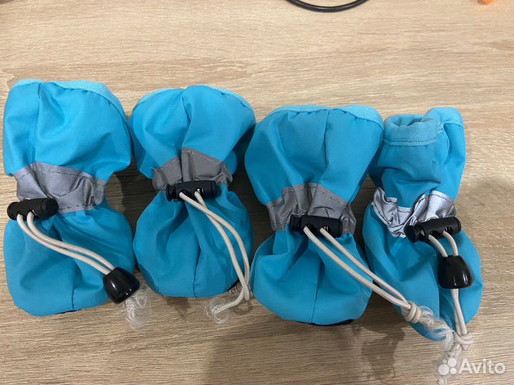 Ботиночки для животных