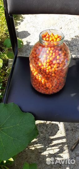 Облепиха ягоды