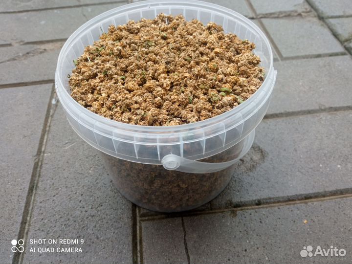 Семена кормовой свеклы