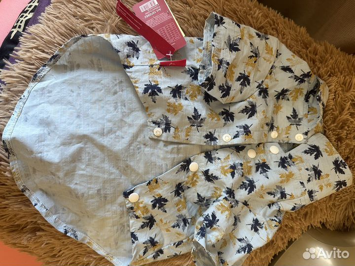 Одежда для собак