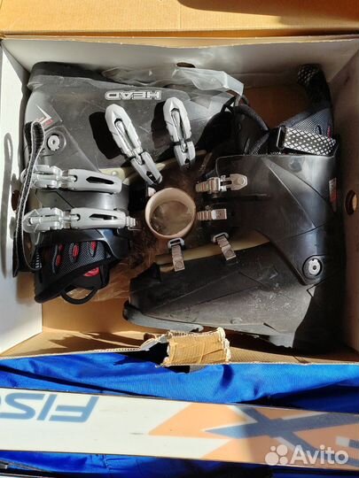 Горные лыжи fischer