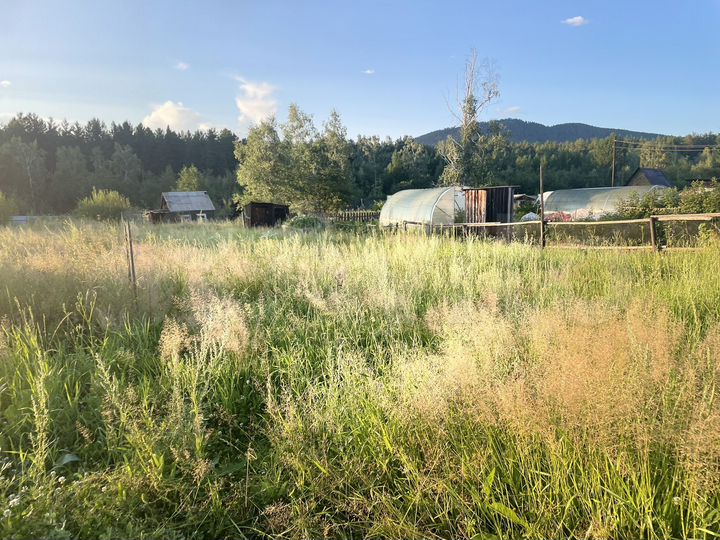 Участок 10 сот. (СНТ, ДНП)