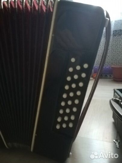 Гармонь Чайка