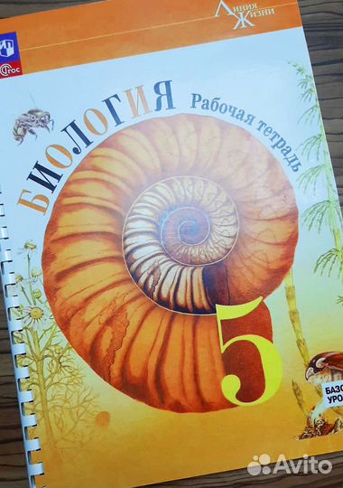 Биология 5 класс Рабочая тетрадь 2023 год