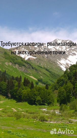 Реализатор экскурсионных туров