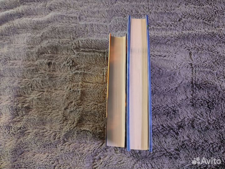 Книги: Гарри Поттер и Дары смерти, Пилигримы 2