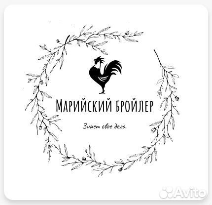 Цыплята бройлеры мясо