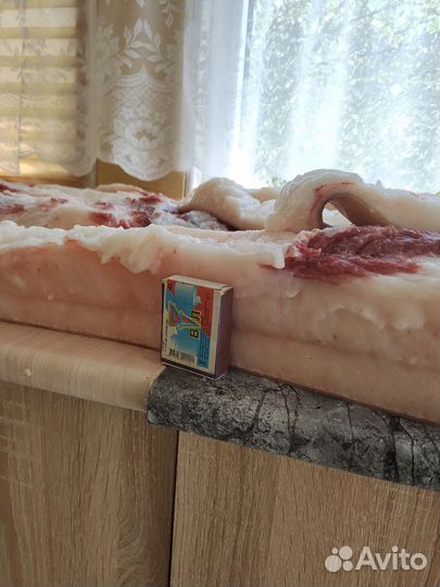 Сало свиное свежее