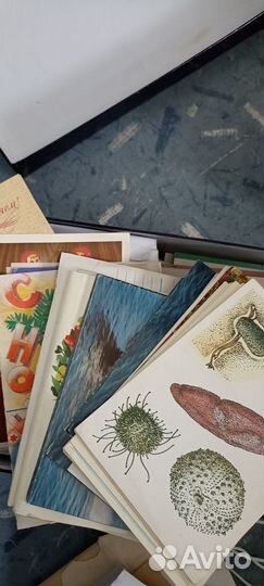 Открытки СССР много разных, с актерами 50-70 года