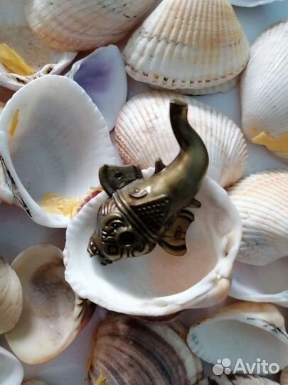 Ракушки для аквариума