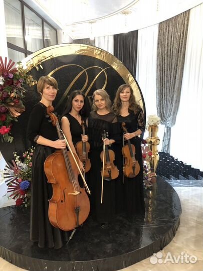 Скрипка, квартет, музыканты на праздник