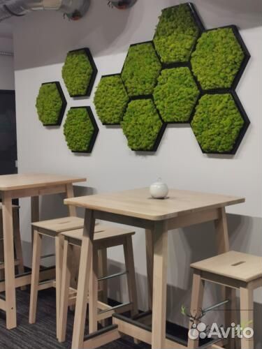 Мох в интерьере