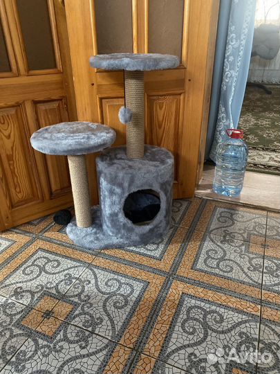 Когтеточка новая