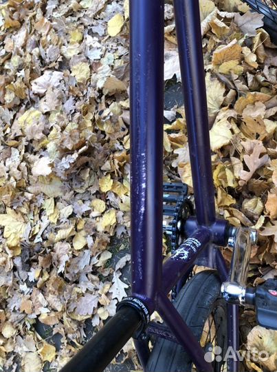 Bmx subrosa