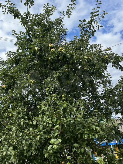 Дача 30 м² на участке 8 сот.