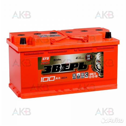 Аккумулятор автомобильный Зверь EFB 100Ач 960A обр