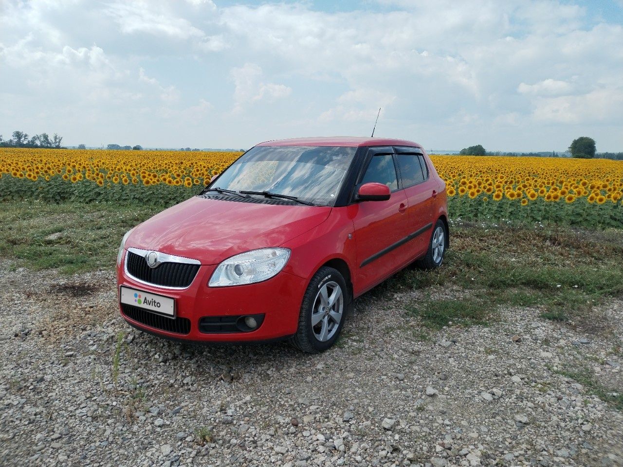 Skoda Fabia: фото владельца