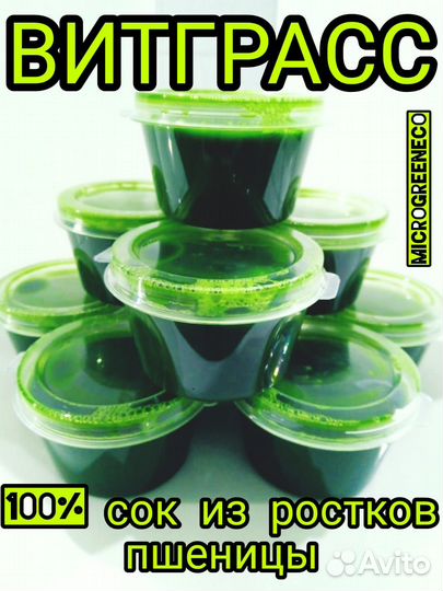 Витграсс microgreenECO