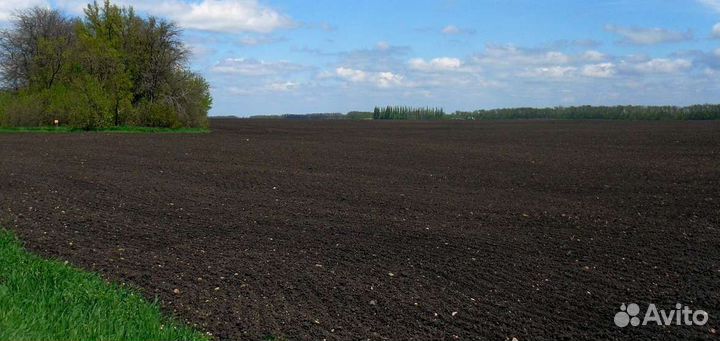 Плодородный грунт, Торф, Чернозём, Земля под газон