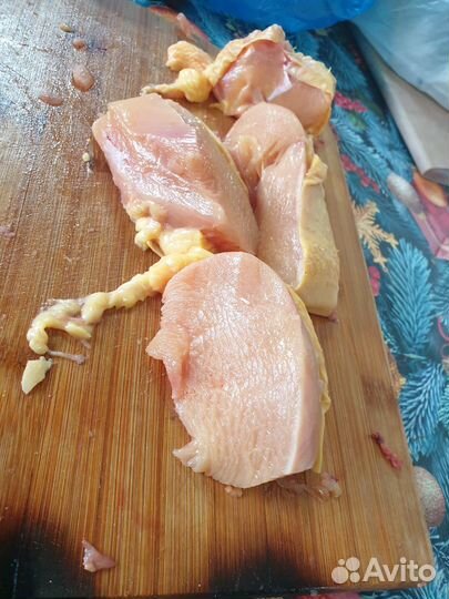 Мясо Броилера