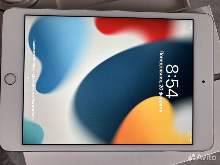 iPad mini 4 / 128 GB / A1550 / (№20)