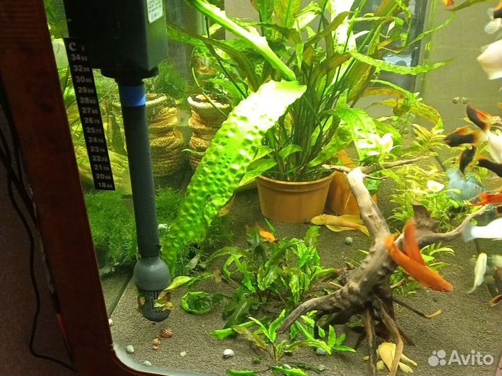 Аквариум jebo 200л