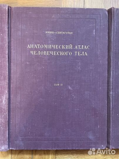 Анатомический атлас Кишш Ф., Сентаготаи Я