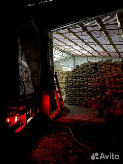 Древесный уголь ясень