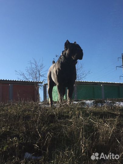 Кабель вязка