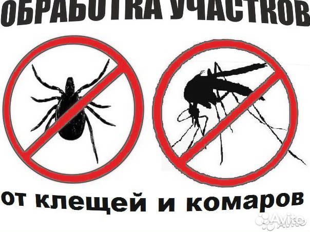 Обработка от клопов, клещей, кротов, комаров, крыс
