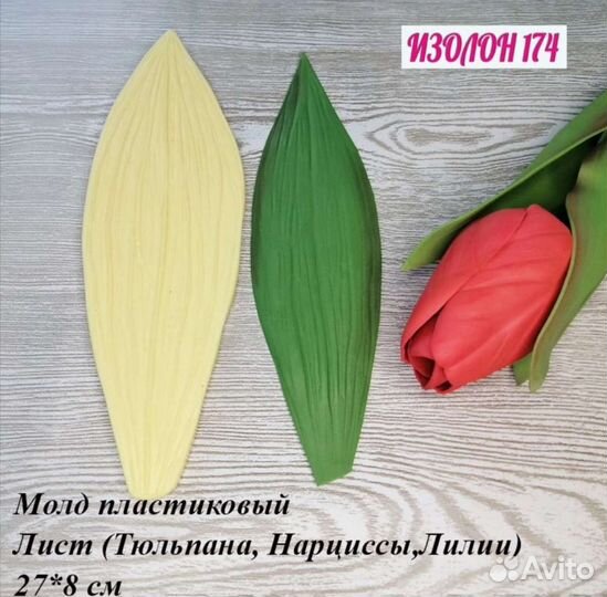 Молды, вайнеры