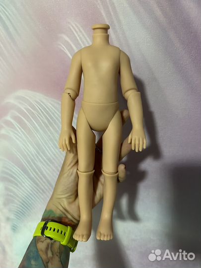 Шарнирное тело паола рейна