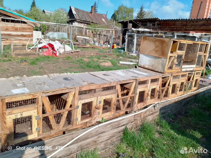 Клетки для кроликов бу