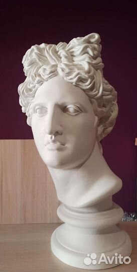Гипсовая голова Аполлона
