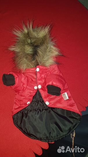 Куртка для собак мелких пород