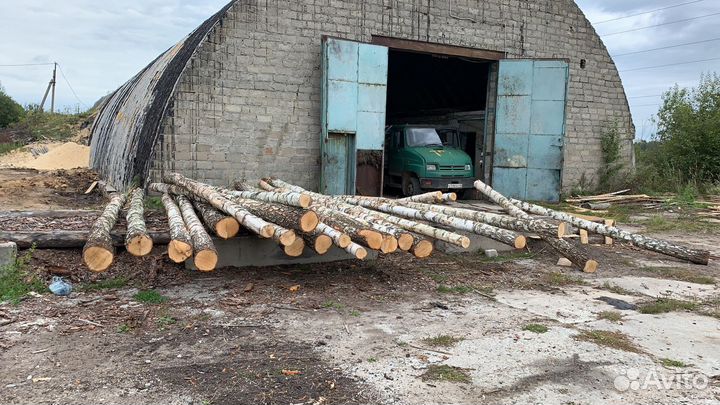 Сдам пилораму в аренду