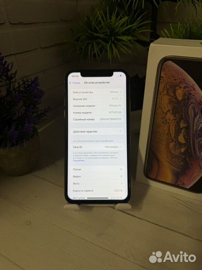iPhone Xs, 256 ГБ