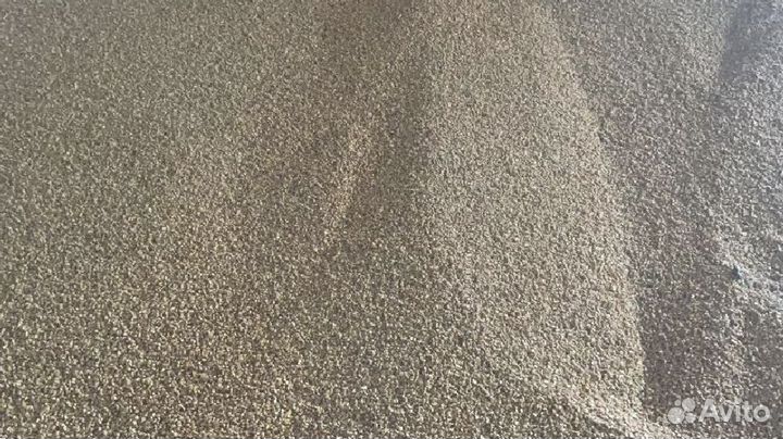 Зерно Кукуруза