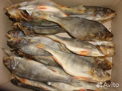 Вяленая сушеная рыба