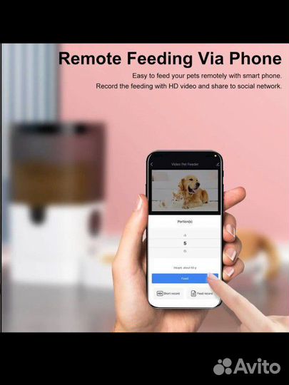 Автокормушка