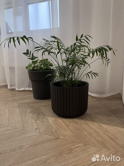Ламинат бу