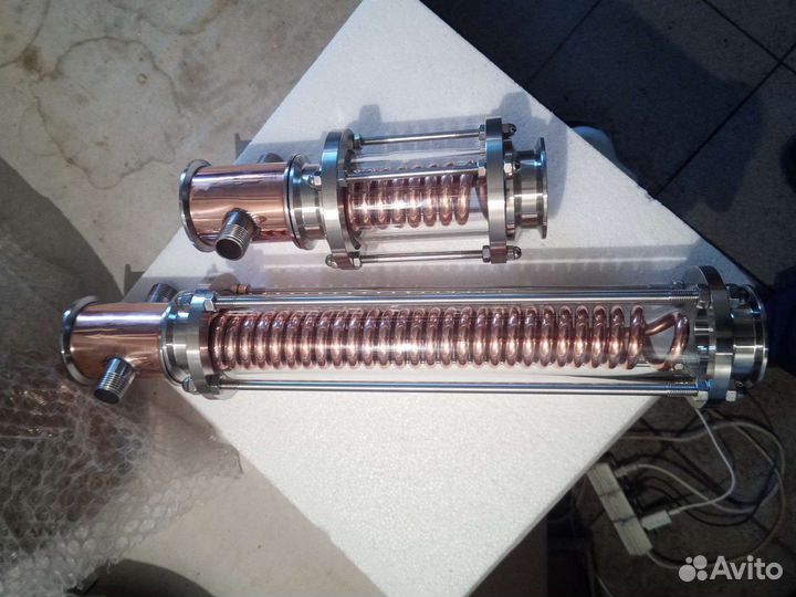 Димрот медный