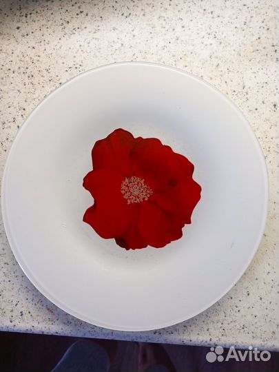 Набор тарелок 25см 10шт