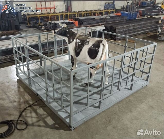 Весы для взвешивания животных (скотские)