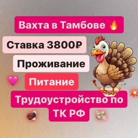 Подсобный рабочий/Высокая ставка/Вахта