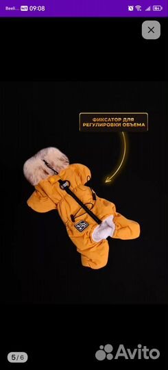 Комбинезон для собак мелких пород