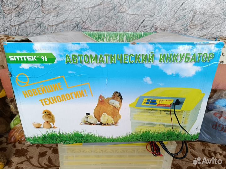 Инкубатор для яиц автоматический