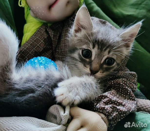 Домовёнок Кузя