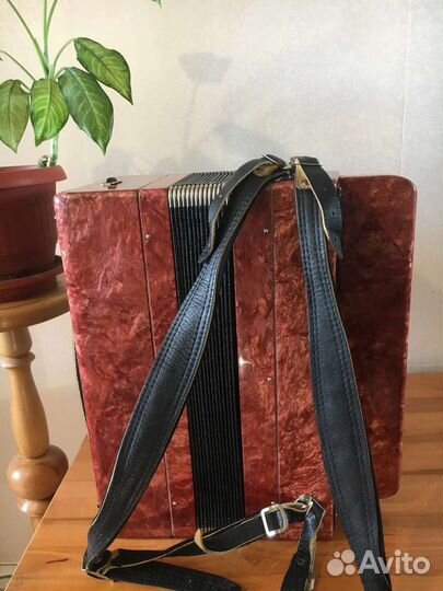 Баян этюд 205м